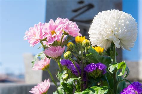 墓 花 種類|お墓に供えるお花は何がいい？墓花の種類や選び方